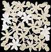 Pair of Doilies in Crystal Gold design