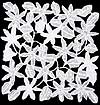 Crystal Silver